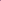 Female Sweat Pants Orchid Haze Heaven Gate